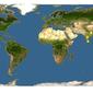 Discover Life: Point Map of Lycopodium hamiltonii